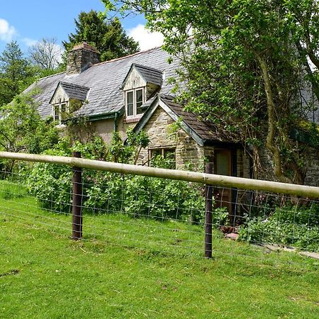 Lower Goytre Farmhouse Llanfair Waterdine Eksteriør billede